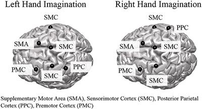 Anodal Transcranial Direct Current Stimulation Increases Bilateral Directed Brain Connectivity during Motor-Imagery Based Brain-Computer Interface Control